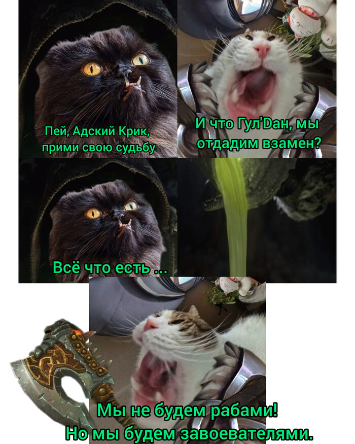          , Warcraft, , , ,   , World of Warcraft
