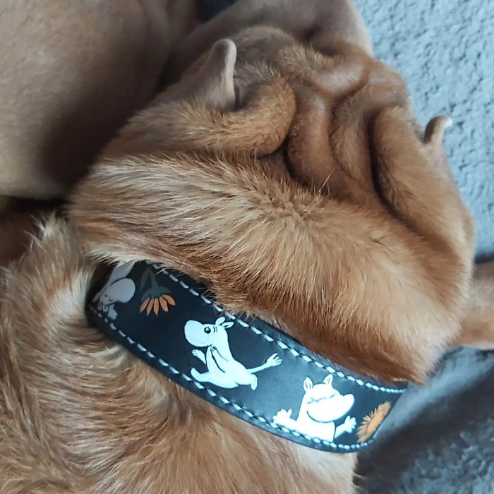 Тут всё понятно.