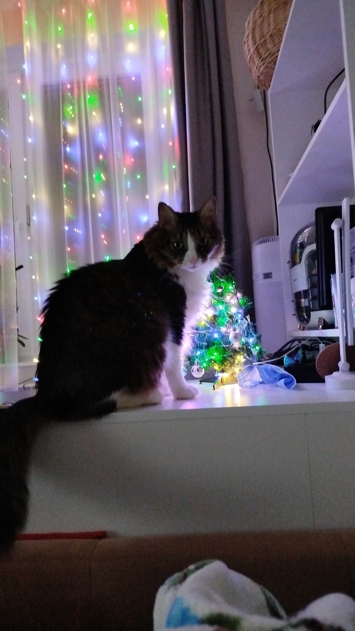 ������ �� � �����))