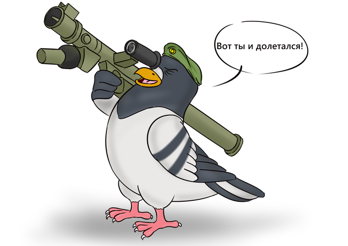 Из-за этих птиц летать на самолете становится все опаснее