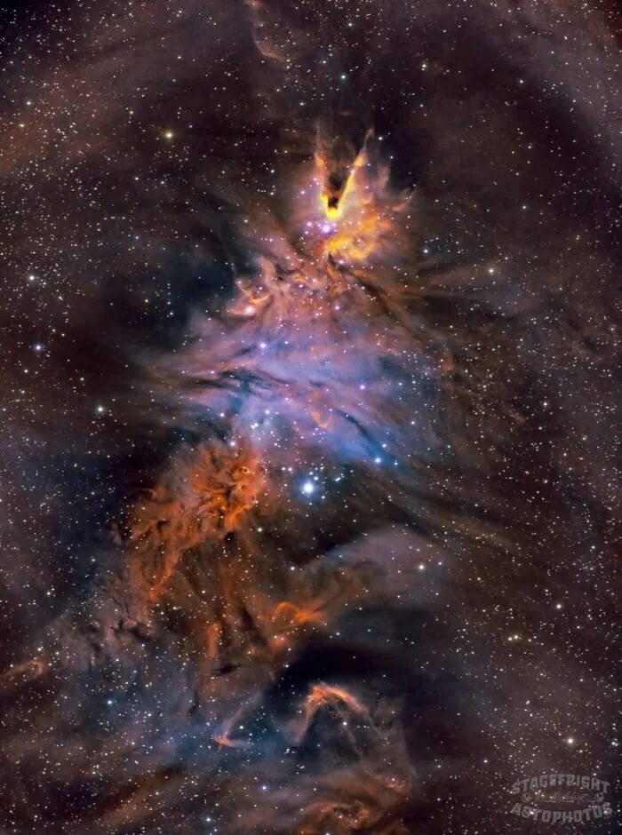  " " (   ""  NGC 2264)     (  )! , , ,  , 