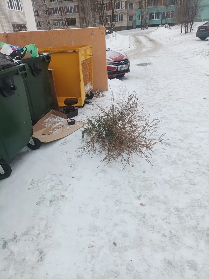 31 декабря г. Зеленодольск, сдался самый стойкий - Моё, Новый Год, Новогодняя елка