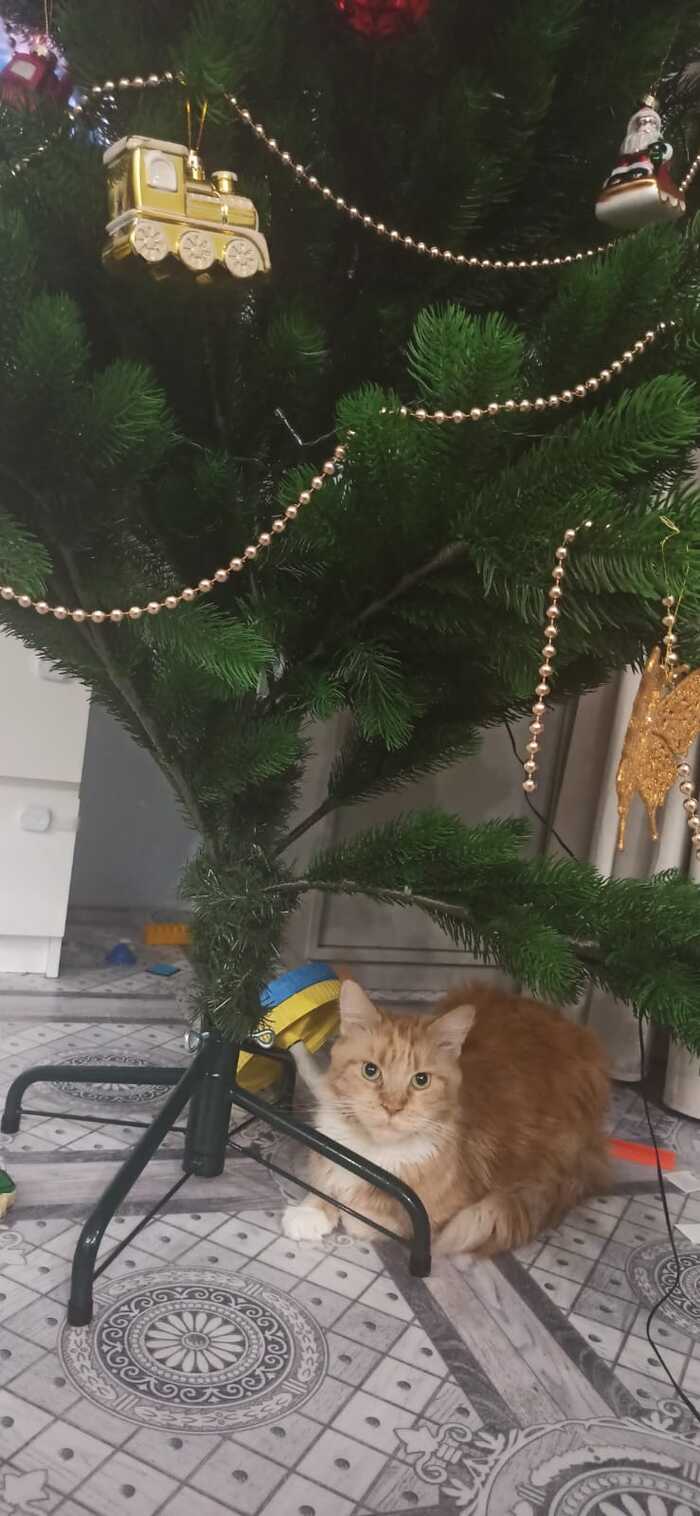 ���������� ����� ��� � �����