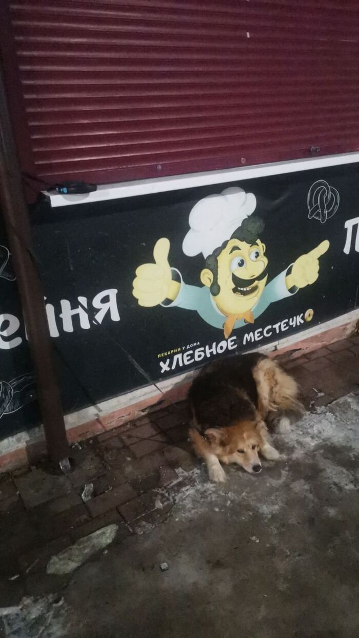   , , ,  