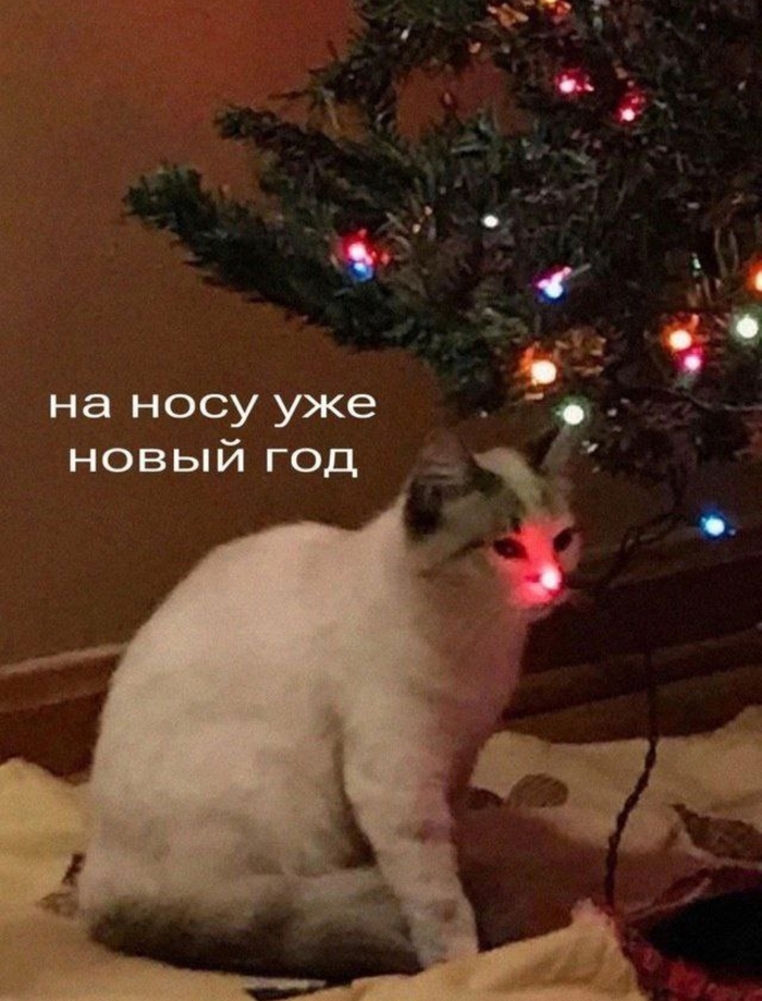 Уже скоро