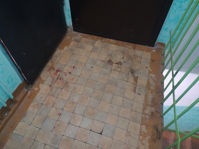 Это место, где ночью меня избивал сожитель моей соседки, фото по возвращения из скорой помощи