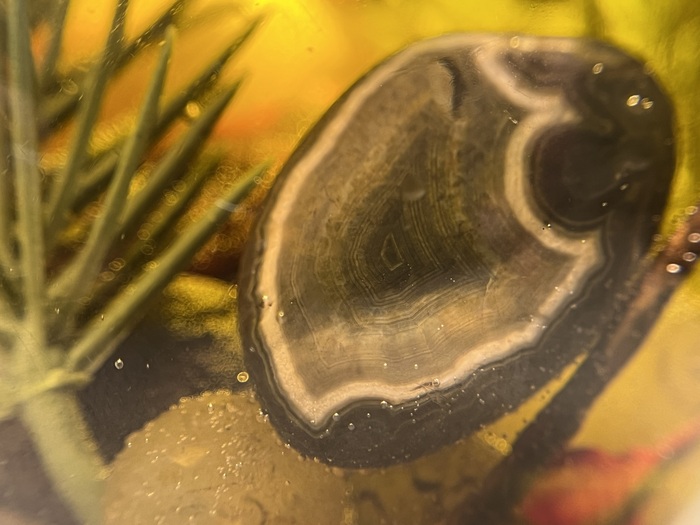 Тот самый агат с моей аватарки