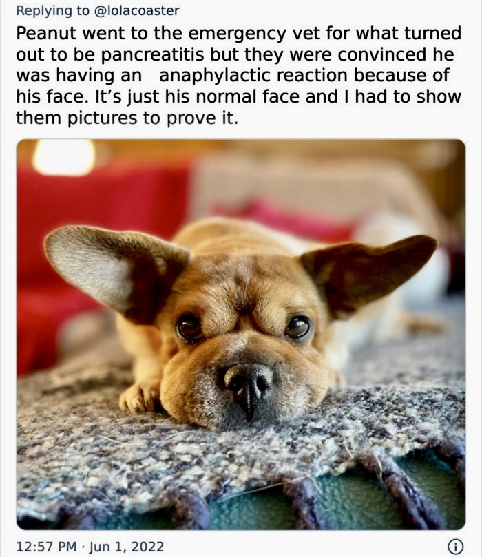 Просто пухленький