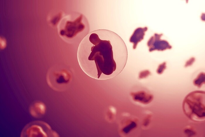  <!--noindex--><a href="https://pikabu.ru/story/pochemu_myi_do_sikh_por_ne_sozdali_iskusstvennuyu_zhizn_12200198?u=http%3A%2F%2Fpinterest.com&t=pinterest.com&h=2ff2c69448f2e8e1907ad321a6afe8f2b378d982" title="http://pinterest.com" target="_blank" rel="nofollow noopener">pinterest.com</a><!--/noindex-->