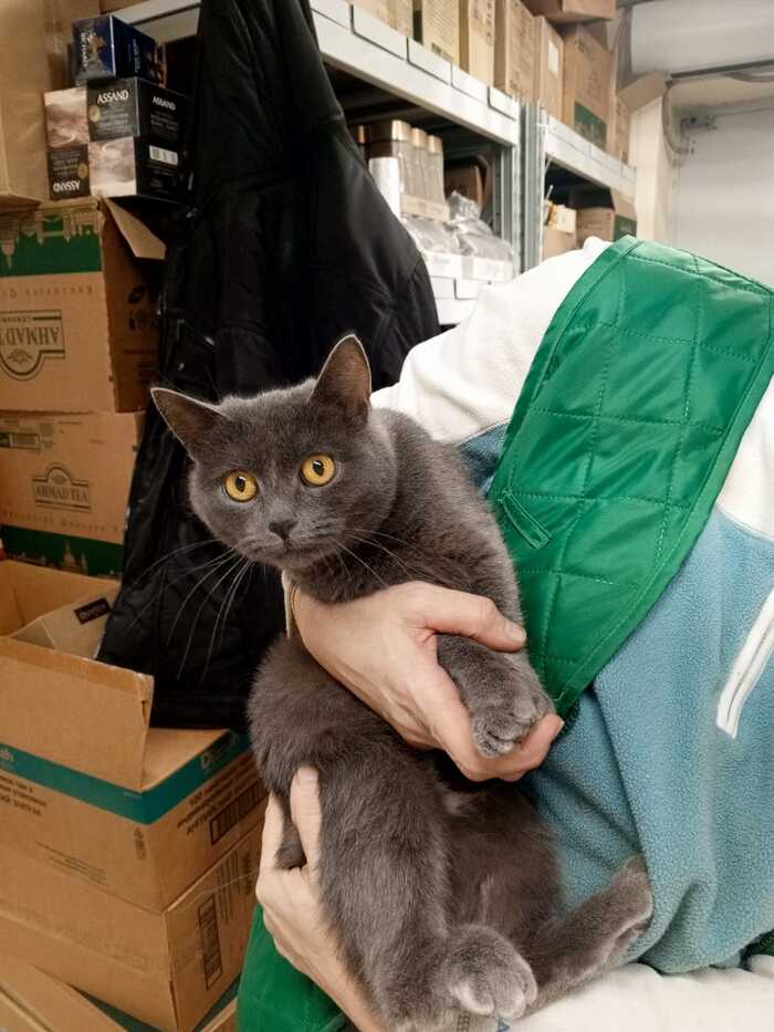 ����� � ������ ����