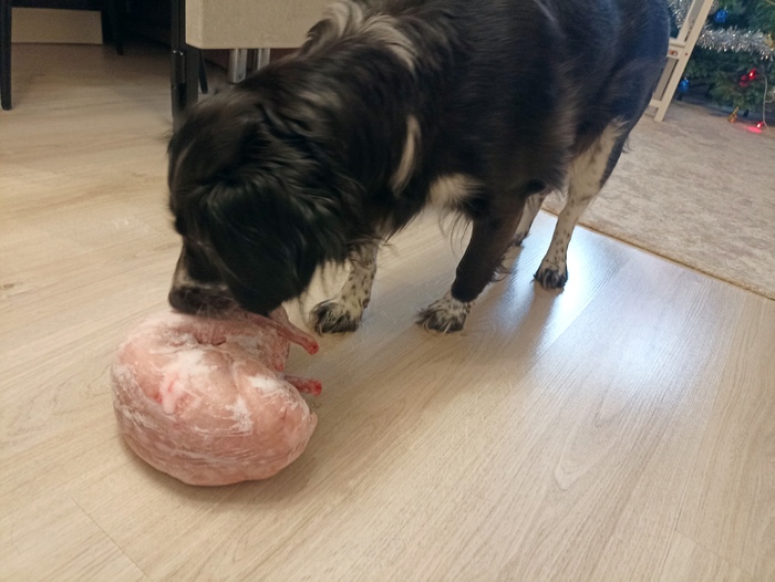 Дичь подана