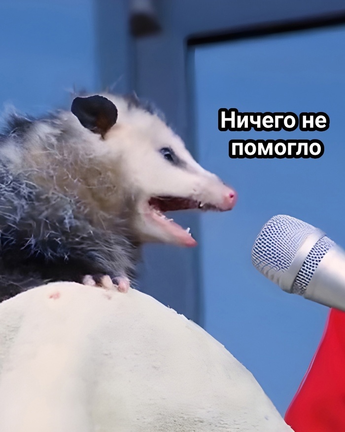      , , , 