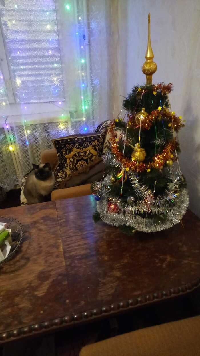 ����������, �����, ����� ���...