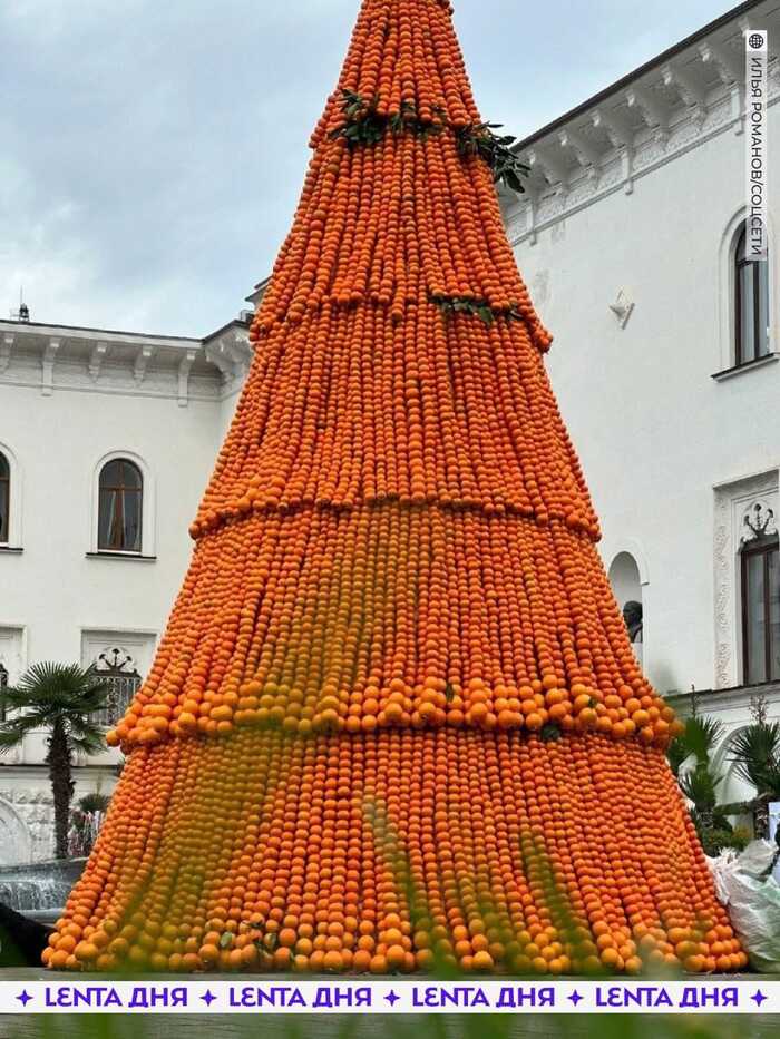 Ёлка из мандаринов в Абхазии