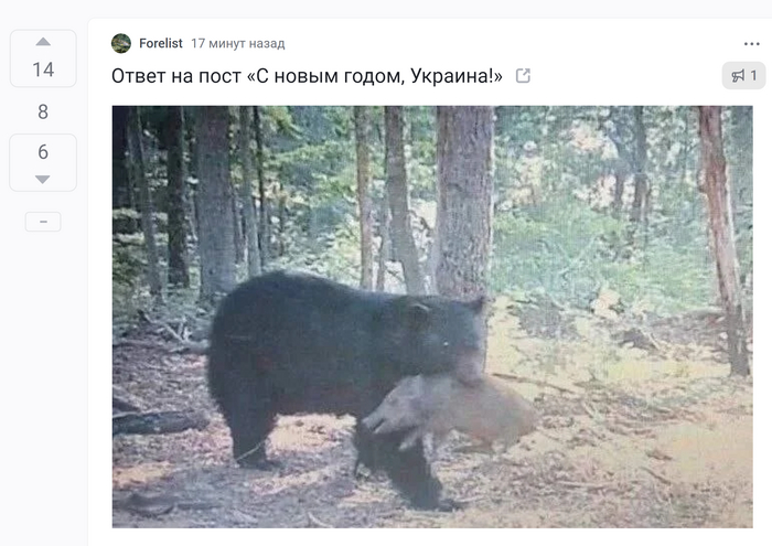 �� ������������� ��������, ��� ����� ����� �������� �������� ������ ��� ������ � �������?