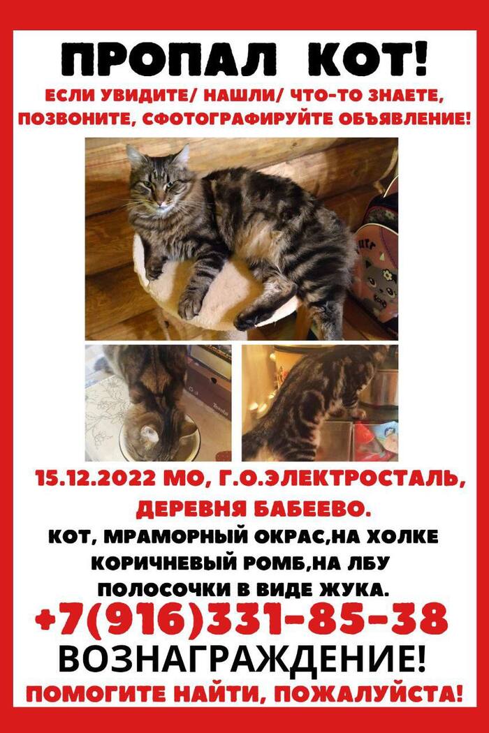 Бусик Найдись!