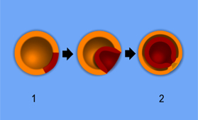    (1) ,  , , ,  , , -, 