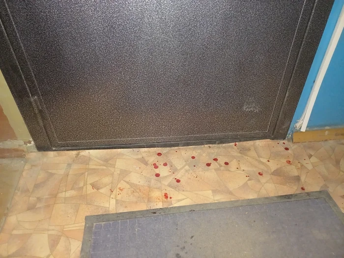 Continuation of the post The girl who knocked down the door to my apartment and threatened to kill my mother continues to work in the Nizhny Novgorod administration - Nizhny Novgorod, Lawlessness, Police, Troubled neighbors, Officials, Attack, Incident, The crime, Video, Vertical video, Longpost, Negative, No rating, A wave of posts, Reply to post