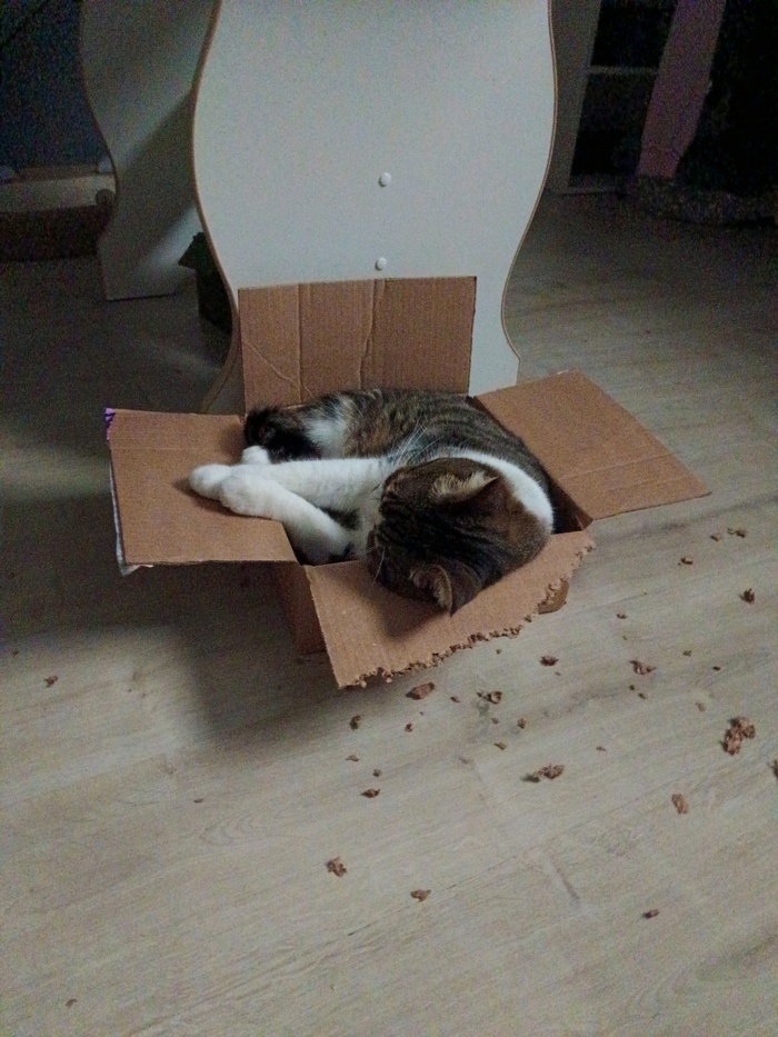 ��� ���� ����� �� ��!