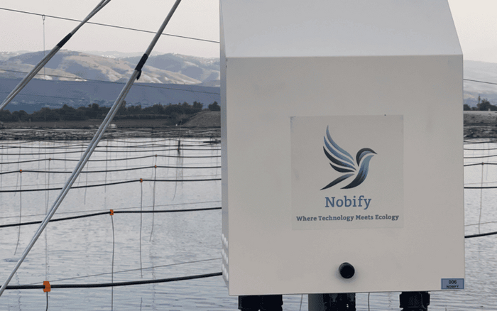 Система Nobify, готовая отпугнуть любых пернатых. Фото Джили Галдана