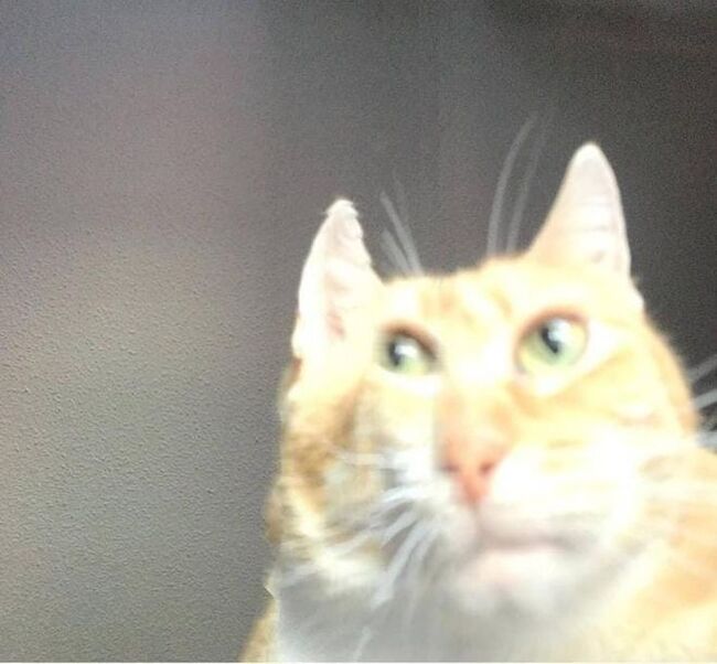  , , , ,  