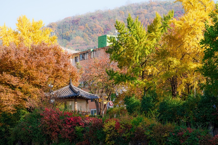 Зима потихоньку приближалась, а на фото - окраины Сеула. Ноябрь, Sony A9M2 + Sony 70-200/2.8GM2