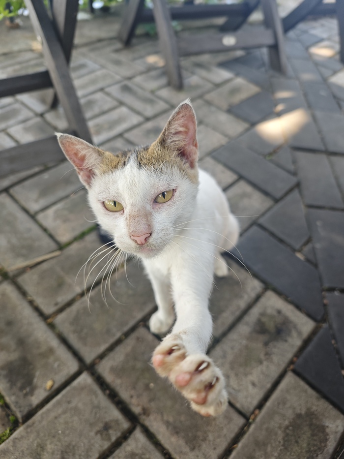 �������, � ��� �� ������!