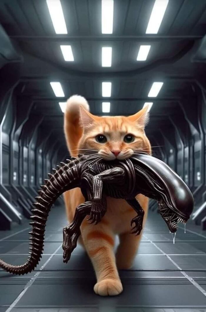     -   , ,   ,  