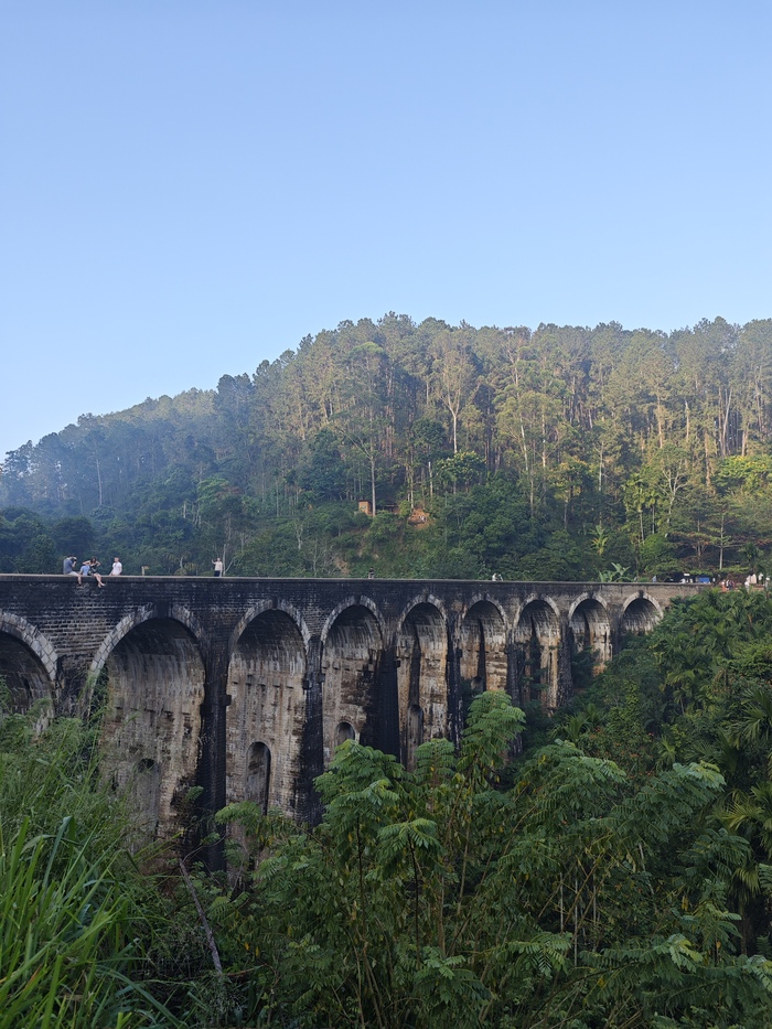 ������������� ���� � �������.