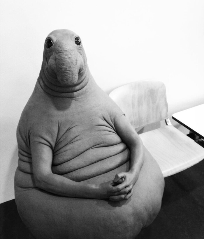       ? , , , , 