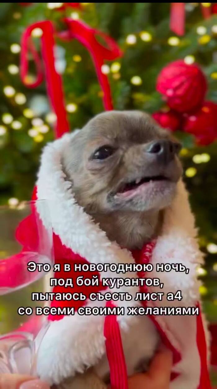  ,   , , ,  , , Telegram ()