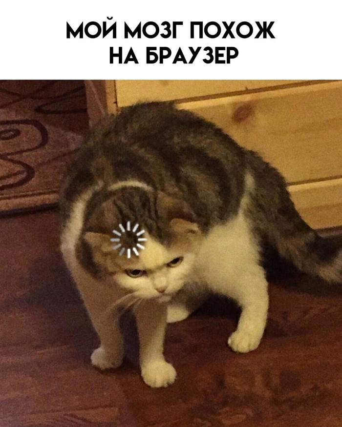       , , , , , , 