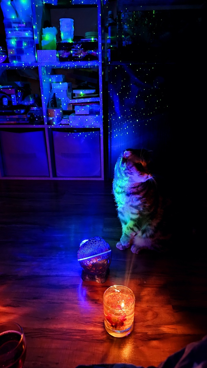 Отключили свет (ну и тепло заодно)? Зато красивое...