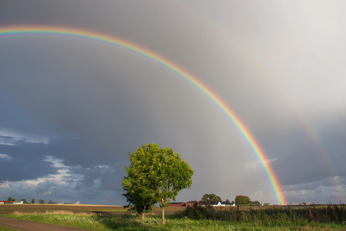 Rainbow