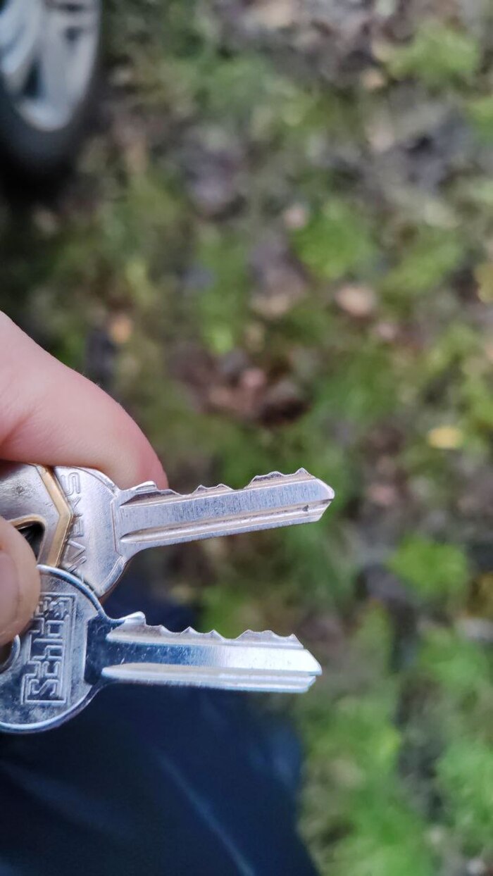   ,    ? , ,  , , 