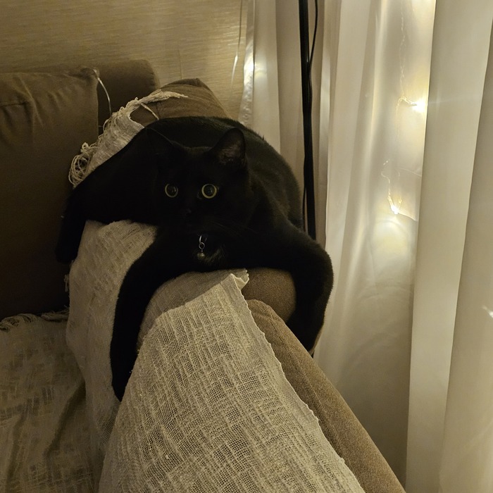 ! ,  ,  ,  