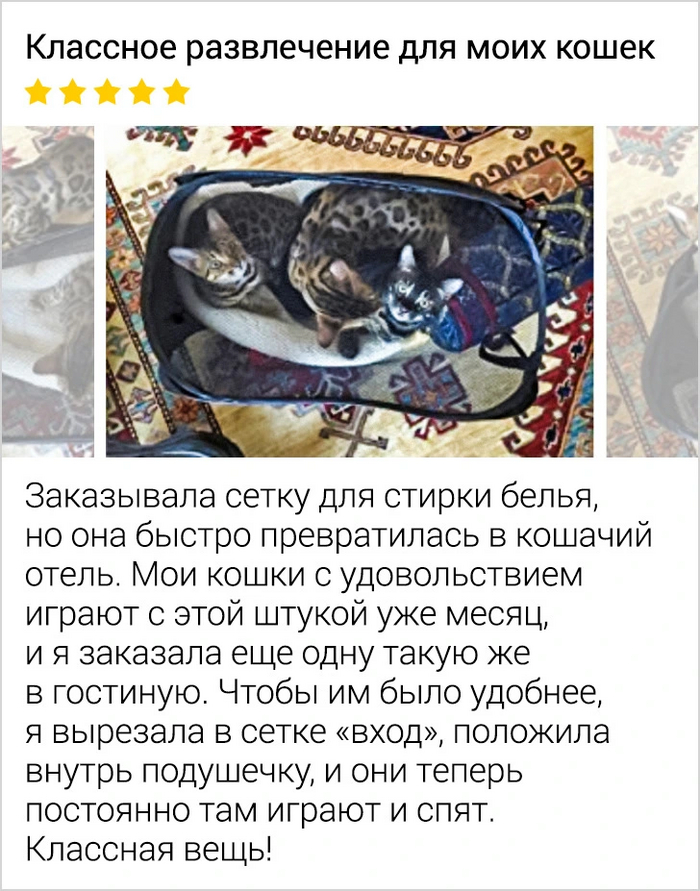 �������: ��� "�������.��� (��)" ���/��������������� �����: 7703380158