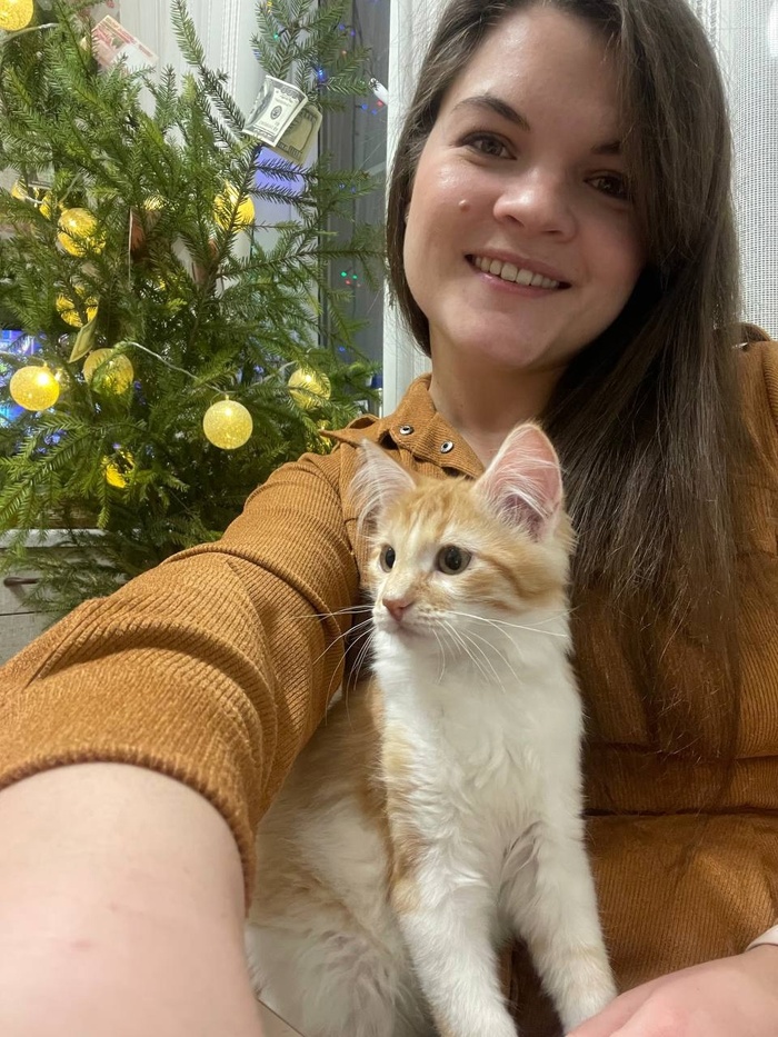 Котенок Нишико, 2.5 месяца, стал домашним 01.12.2024