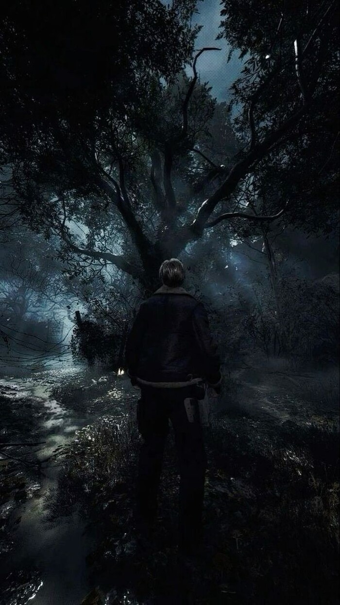 Resident evil Resident Evil,   - Resident Evil, Resident Evil 4, Resident Evil 8: Village, Resident Evil 2: Remake, Silent Hill, , , , ,  , 