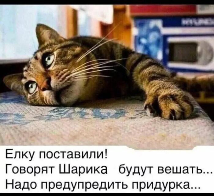 Шарик на ёлке