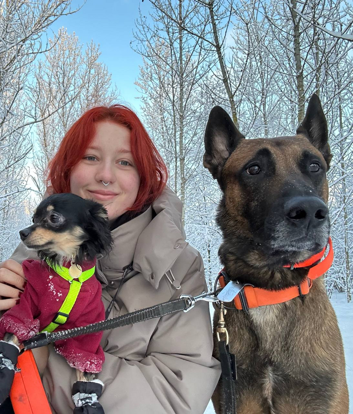 Новогодний лес