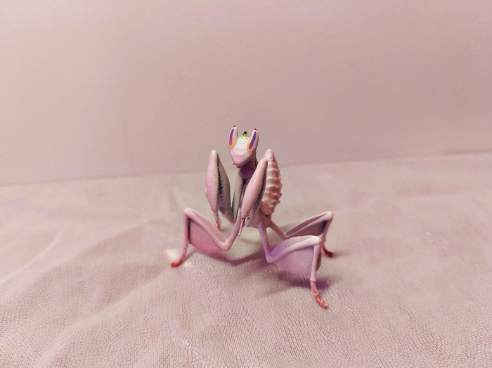    3D ,   , ,  ,  , 3D , , , 