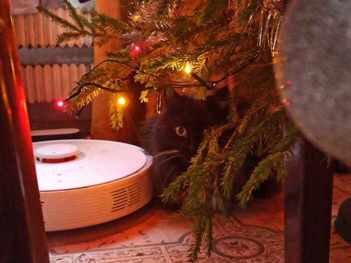 � ����� �����