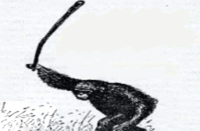   , ,   , , , 