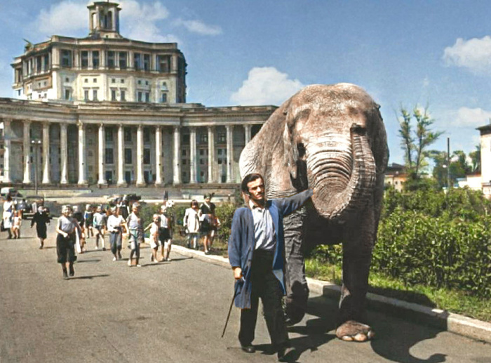 Жизнь Советской Москвы в 50-е годы. 20 раскрашенных фотографий Старое фото, Историческое фото, Фотография, История города, Москва, Столица, 50-е, Колоризация, Длиннопост