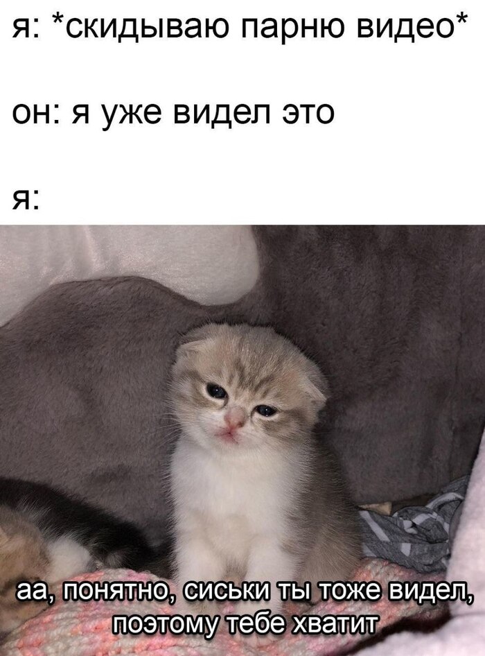   ,   , , ,   , 