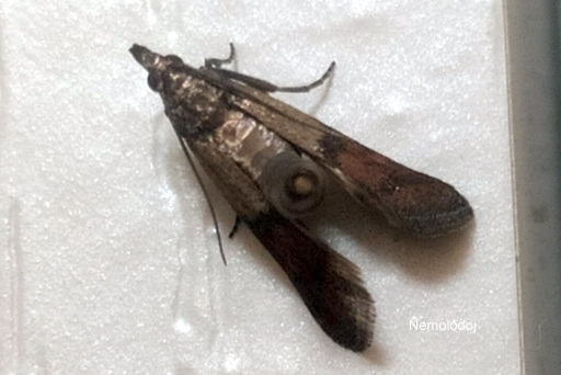 �� ����� ��������� "����"