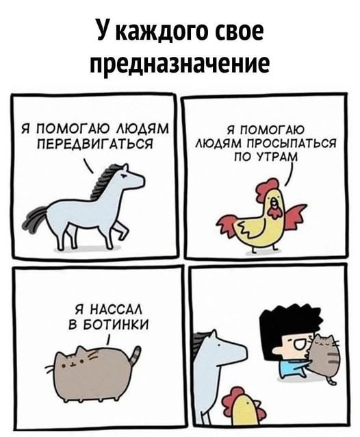  ?   , , , ,  