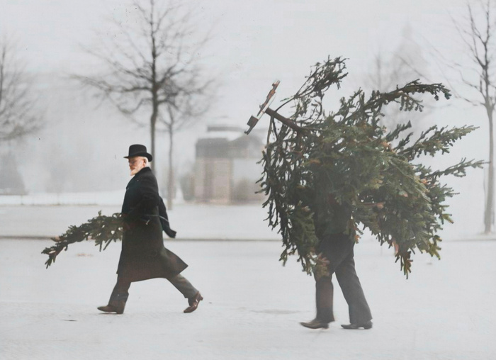 ��������: ������ ������