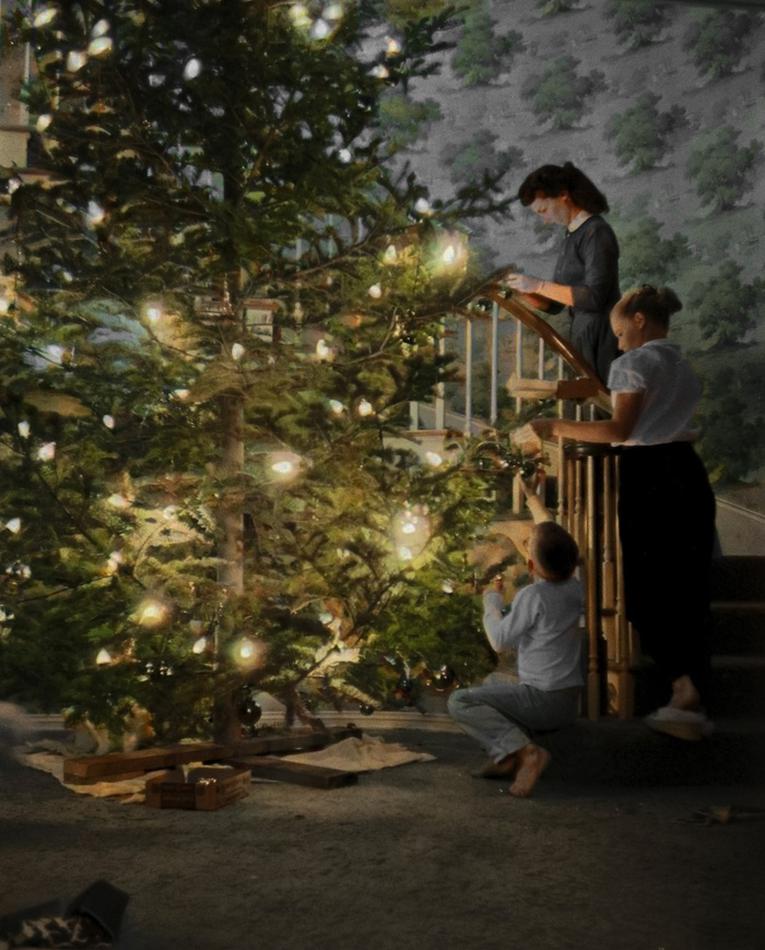 ��������: ����� �����